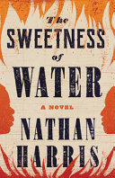 Image for "The Sweetness of Water"
