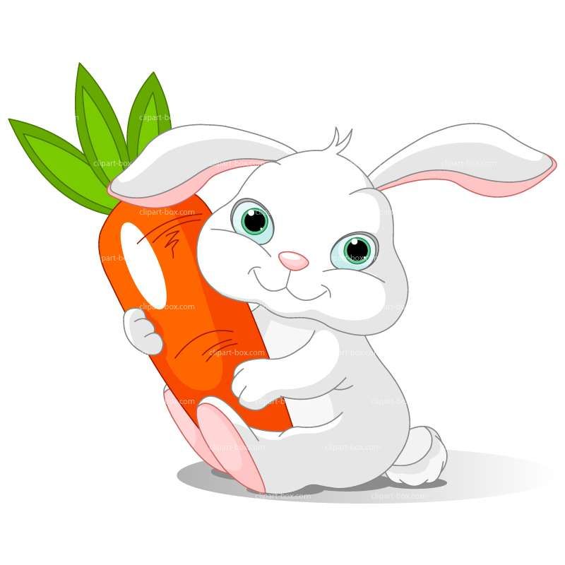Virtual Storytime: Silly Bunnies!