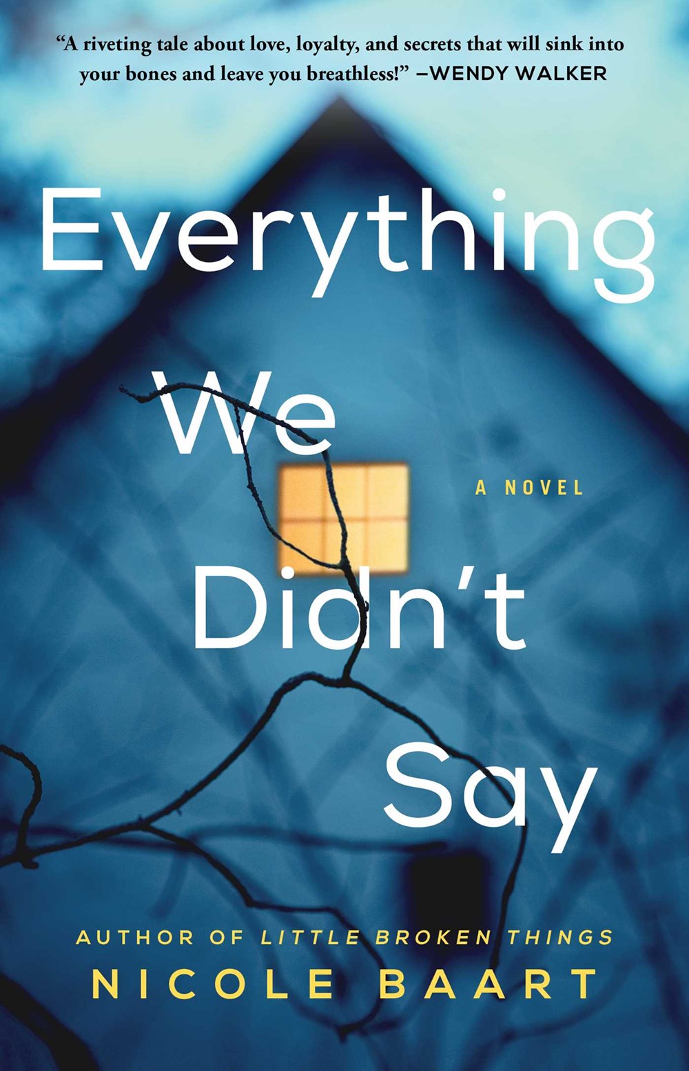 Image for "Everything We Didn't Say"