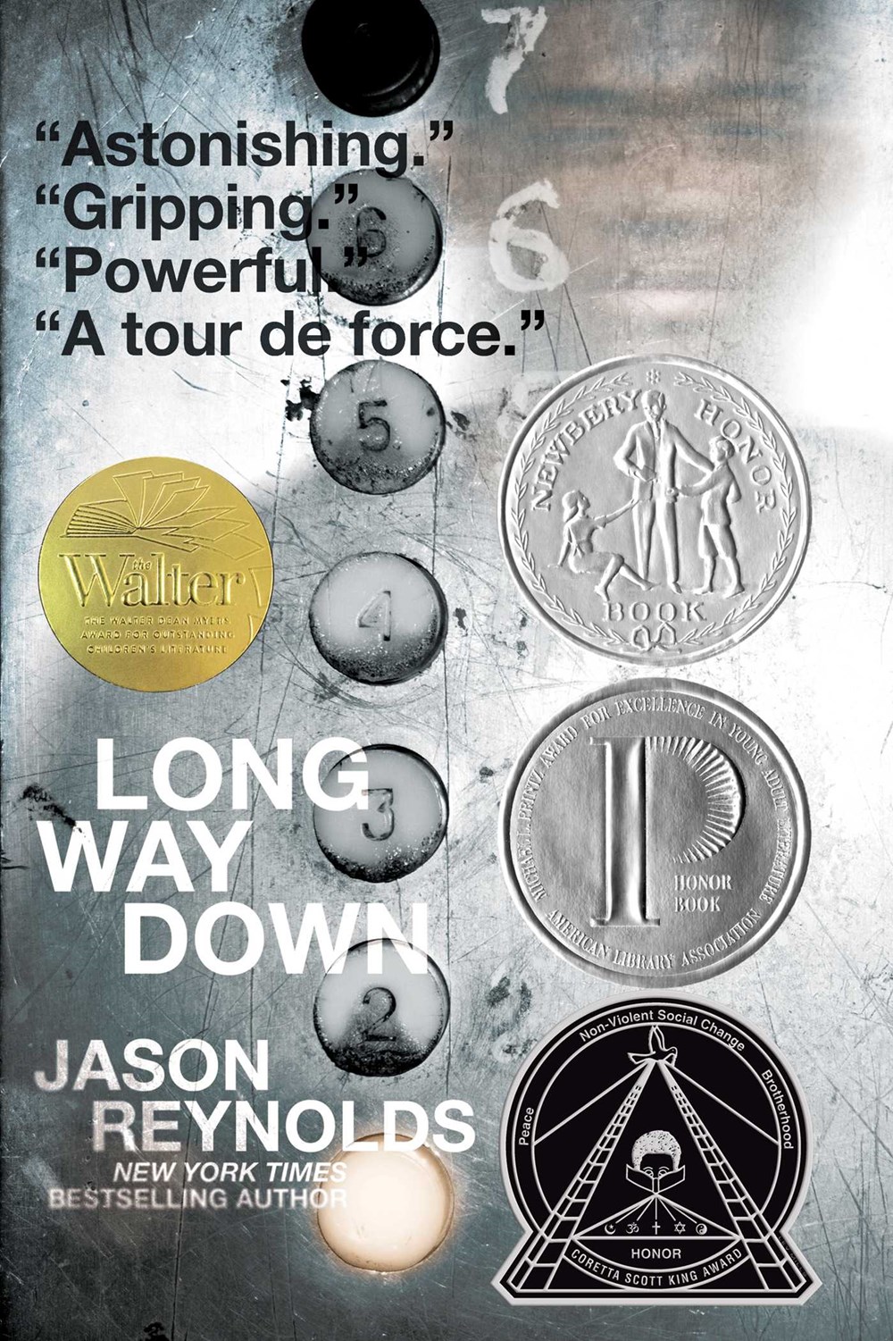Image for "Long Way Down"