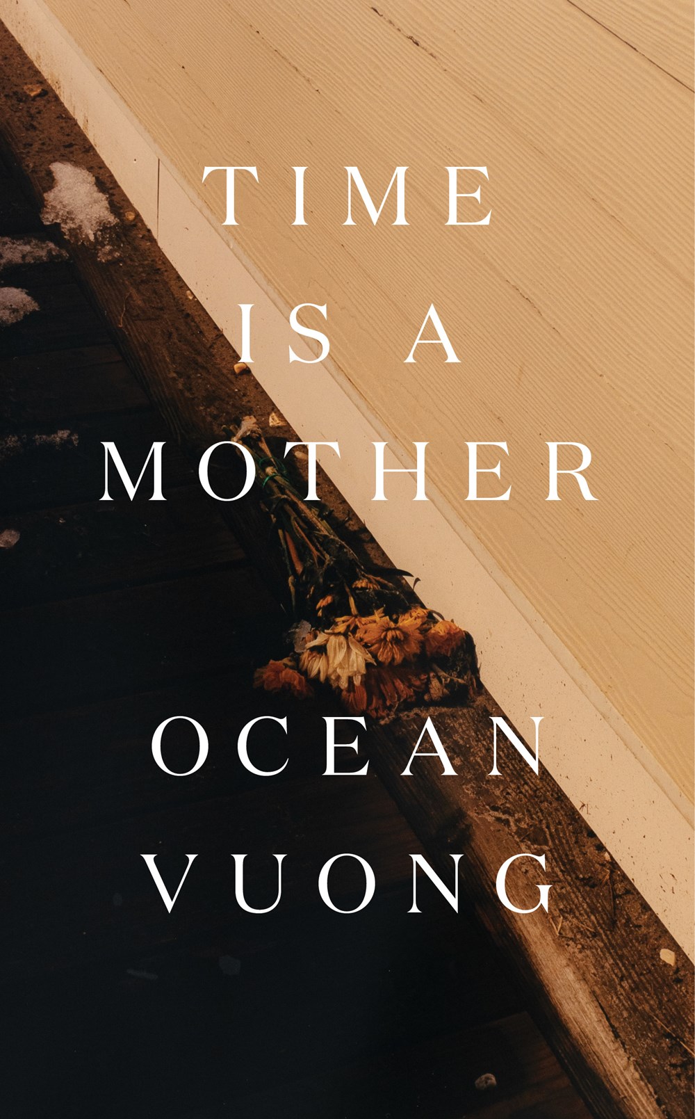 Image for "Time Is a Mother"