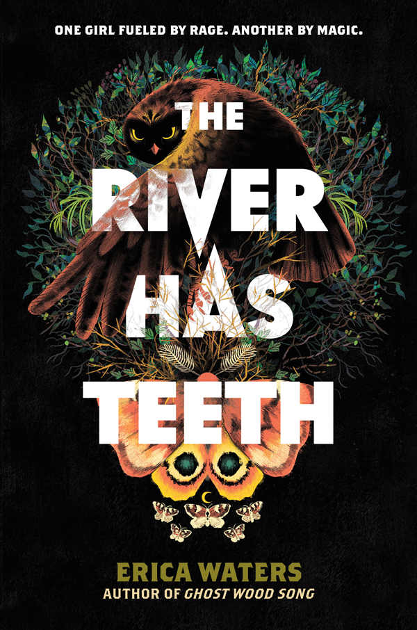 Image displayed is the book cover for The River Has Teeth by Erica Waters. 