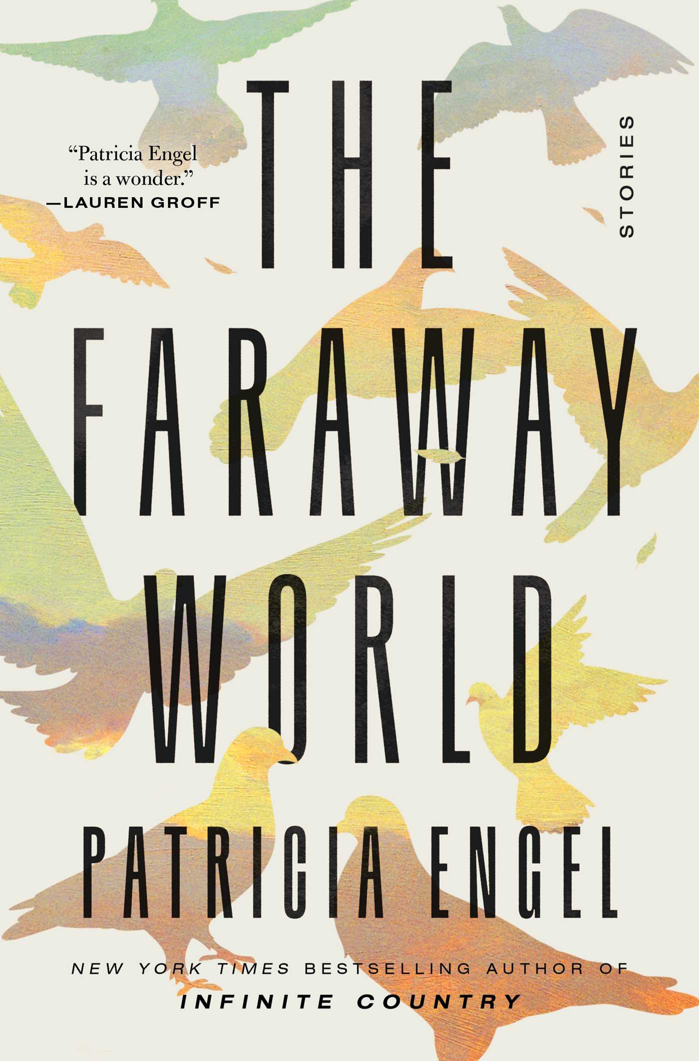 Image for "The Faraway World: Stories"