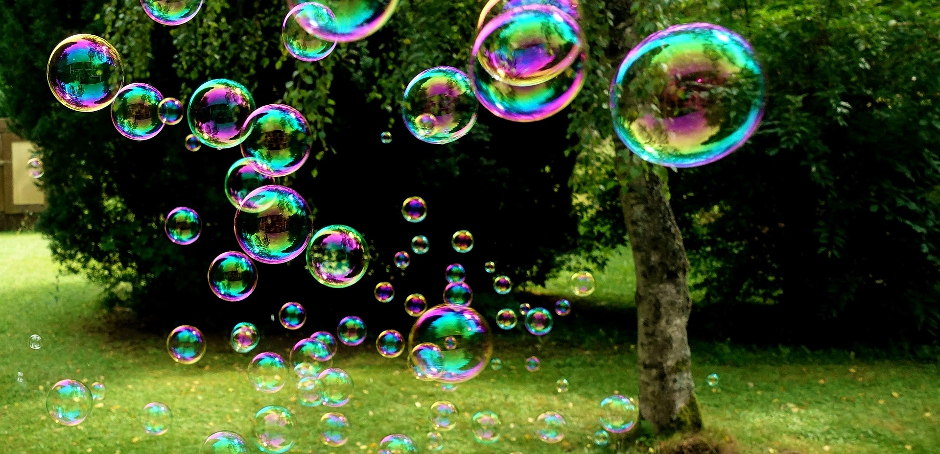 bubbles floating in the air against a green nature background