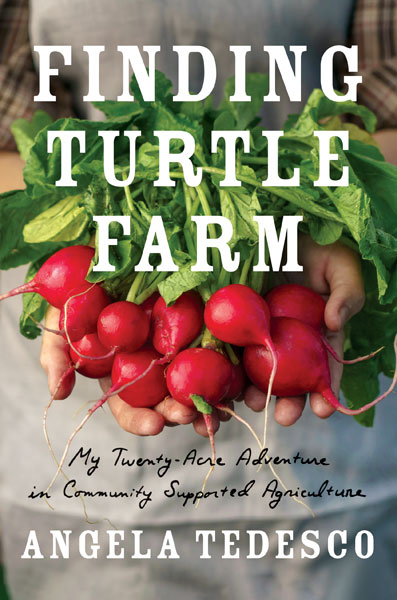 Cover of Finding Turtle Farm, features a bunch of bright red radishes