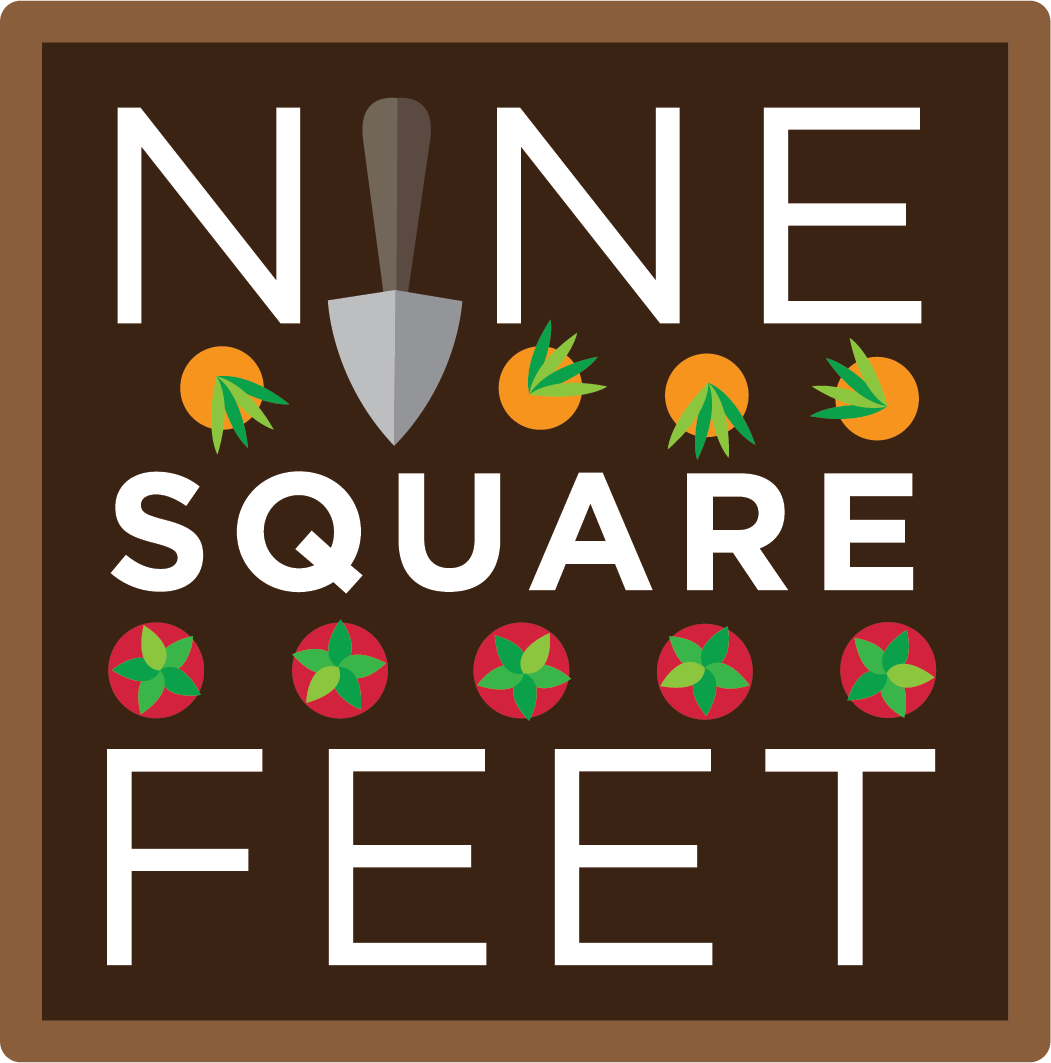nine square feet logo