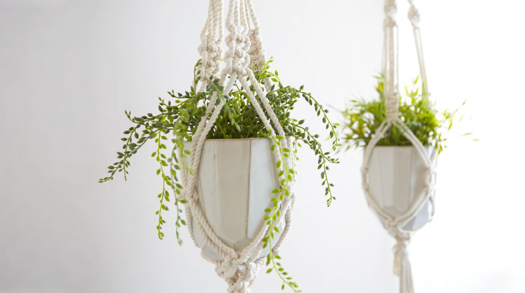 Two plants in pots hanging in macrame hangers made from knotted cord