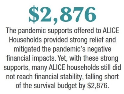 pandemic support