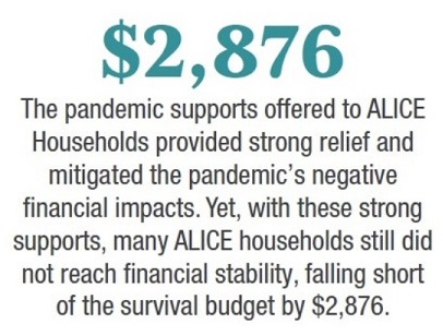 pandemic support