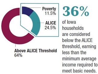 36 percent are ALICE or poverty