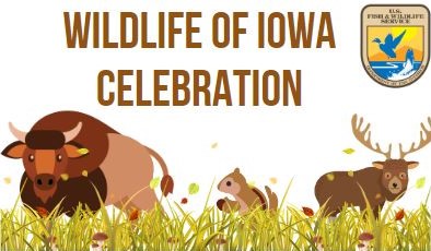 brown text on a white background that says "Wildlife of Iowa Celebration" with a bison, chipmunk, and elk