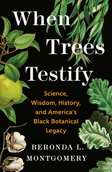 When Trees Testify by Beronda Montgomery
