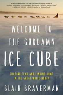 book cover for "Welcome to the Goddamn Ice Cube"