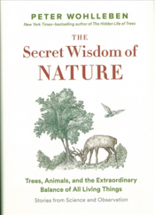 The Secret Wisdom of Nature, by Peter Wohlleben cover