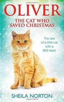 Oliver-Cat-Christmas