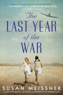 The Last Year of the War cover