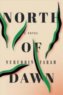 north-of-dawn