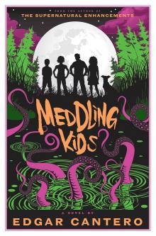Meddling Kids Image