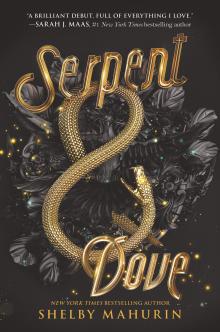 Serpent and Dove by Shelby Mahurin