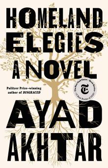 Homeland Elegies by Ayad Ahktar