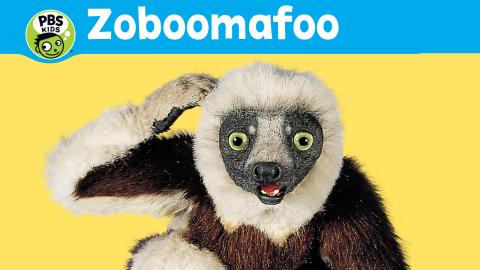 https://dmpl.kanopy.com/video/zoboomafoo