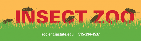 Insect Zoo logo