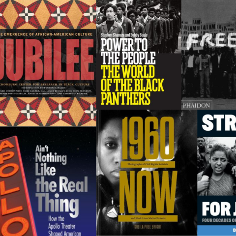 A collection of coffee table book covers about Black history