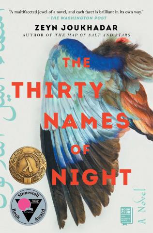 Graphic image of the book cover for The Thirty Names of Night