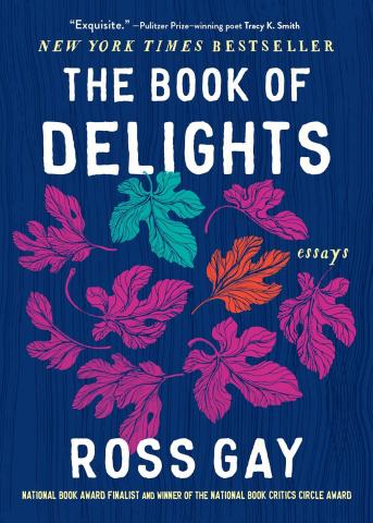 Graphic image of the book cover for The Book of Delights