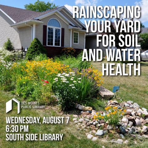 A house with a rainscape garden