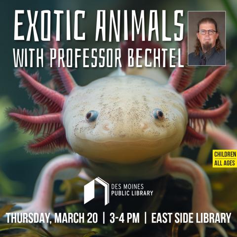 Exotic Animals with professor Bechtel