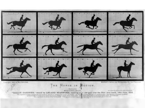 Horse-in-motion