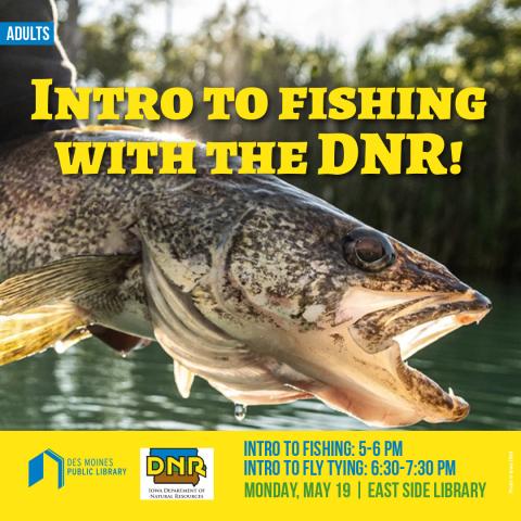 Intro to Fishing graphic