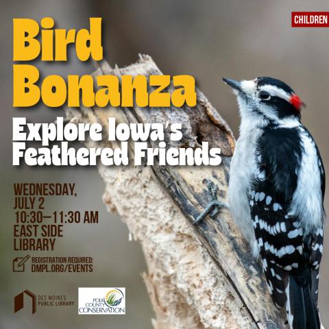 Explore Iowa's Feathered Friends with a woodpecker image