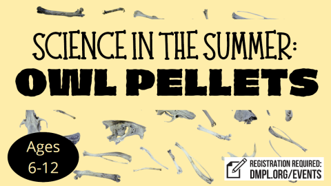 yellow background with small bones and text that reads "Science in the Summer Owl Pellets"