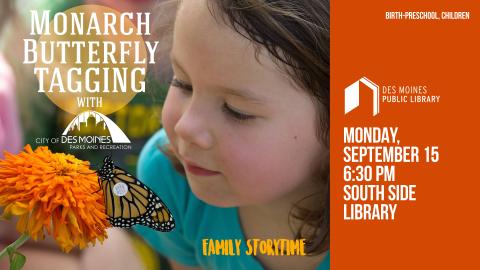Young child looking at a monarch butterfly perched on an orange marigold