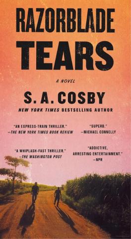 Razorblade Tears Book Cover