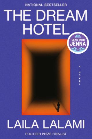 The Dream Hotel Book Cover