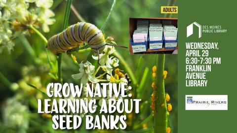 A promotional poster for Grow Native 