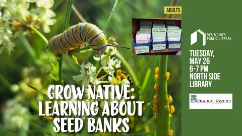 A caterpillar on a flowering plant with text overlay: "Grow Native: Learning About Seed Banks." Includes event details for the library program on May 26.