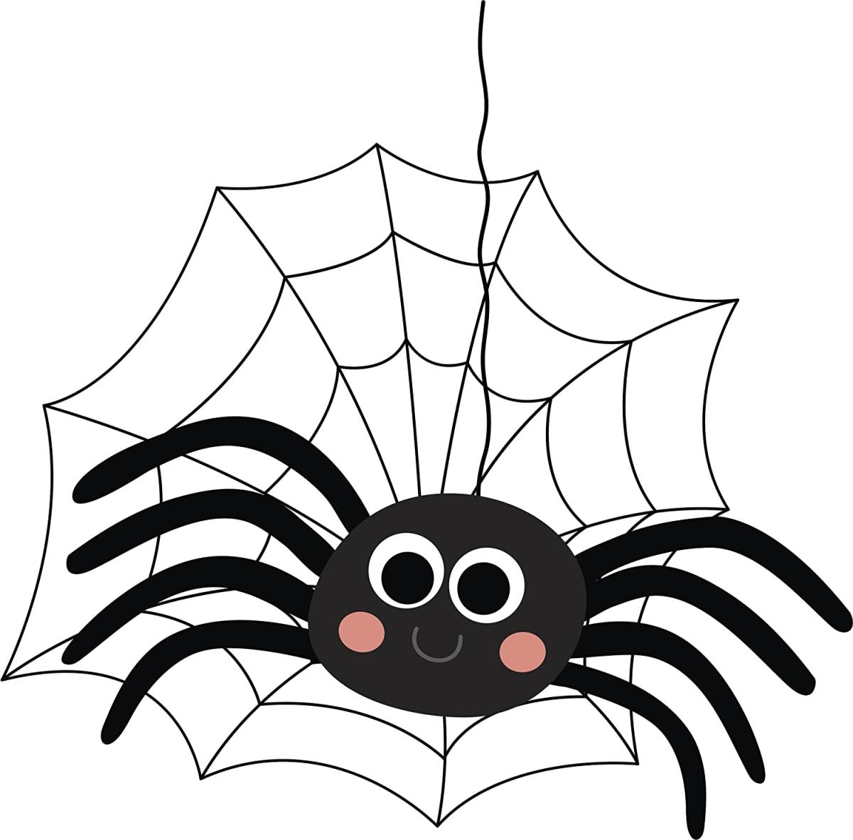 picture of a spider on a web