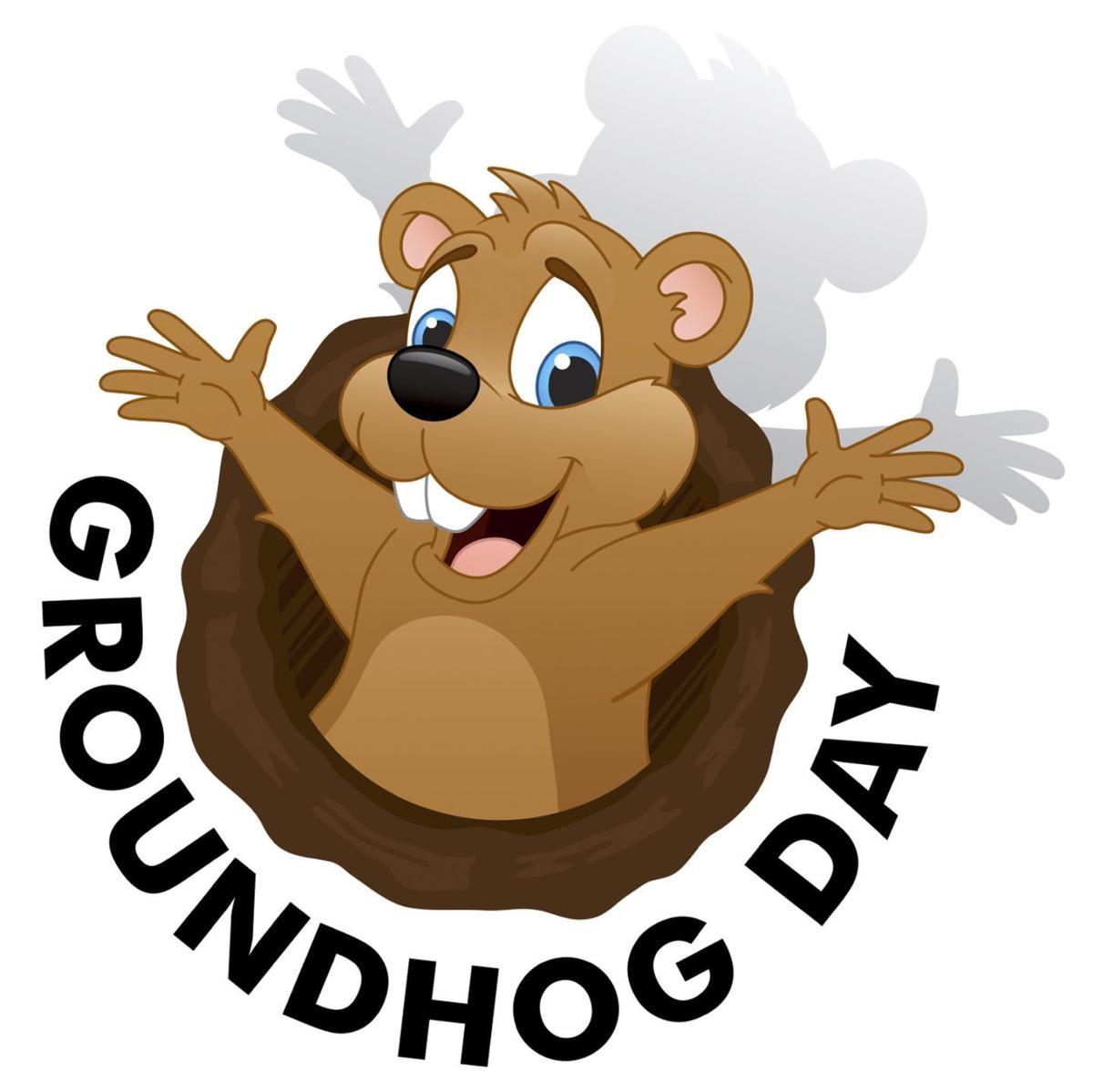 groundhog popping out of his hole