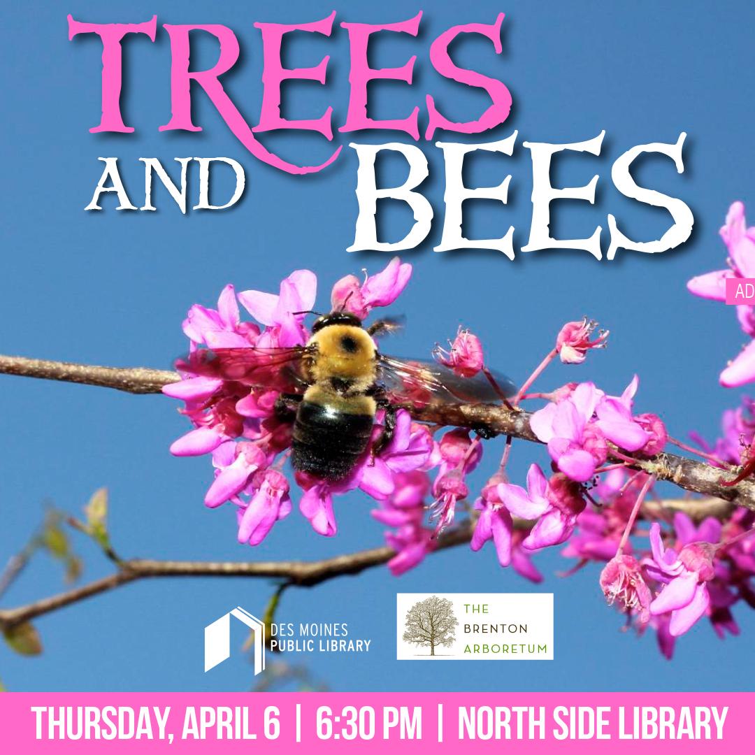 bumblebee on a flower