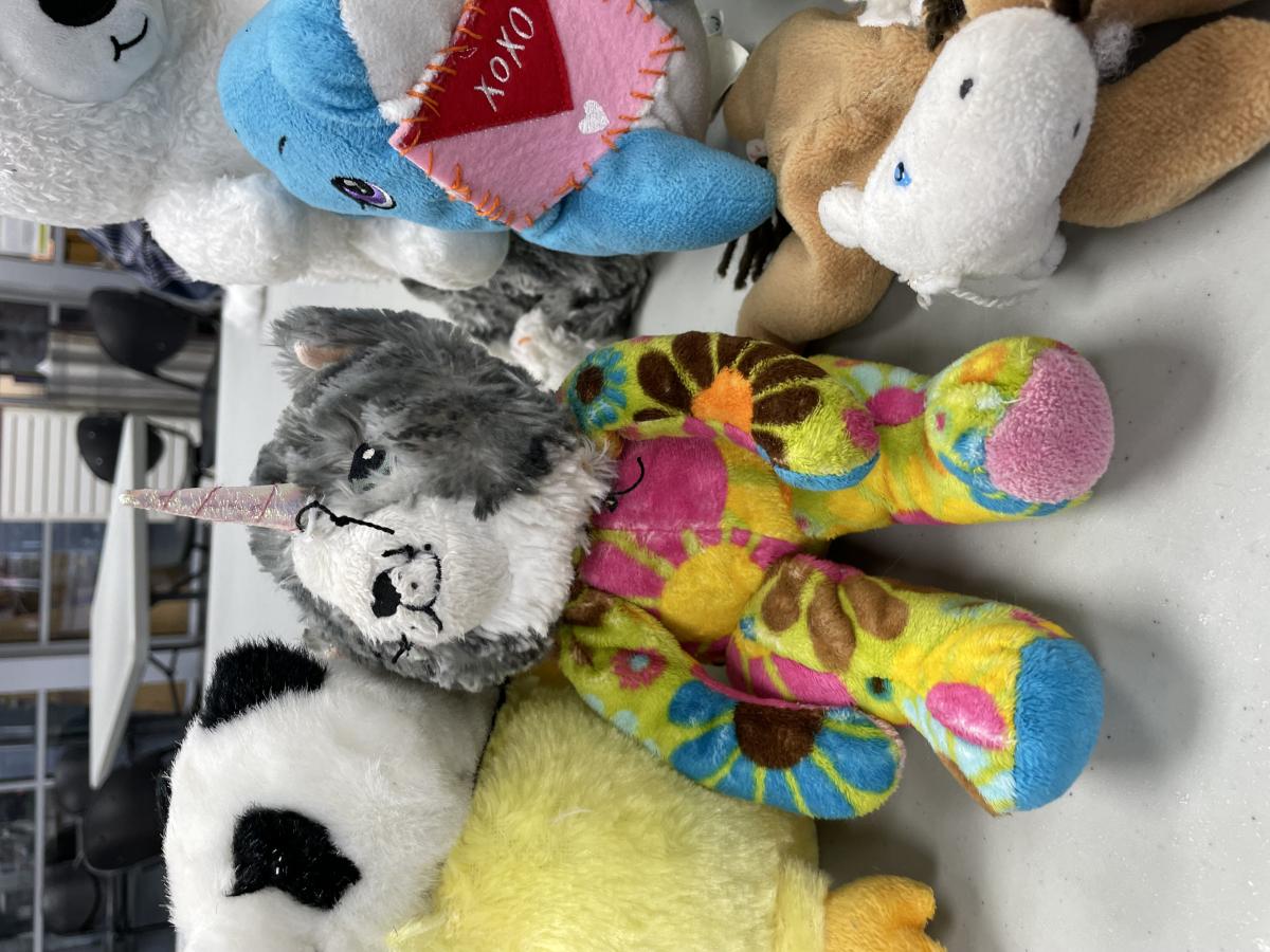 Stuffed animal with a cat head and a bear body