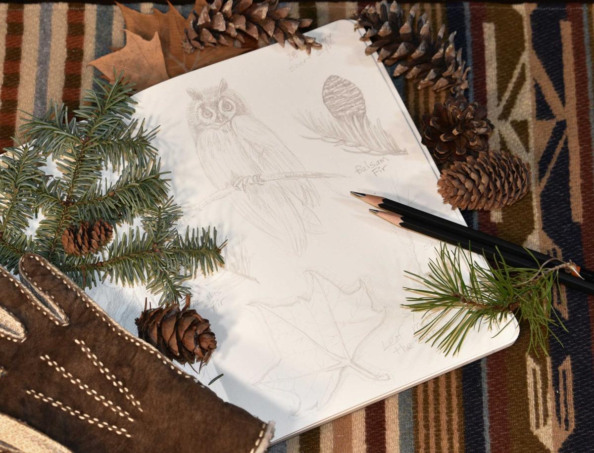 Graphic image of a page of journal drawings