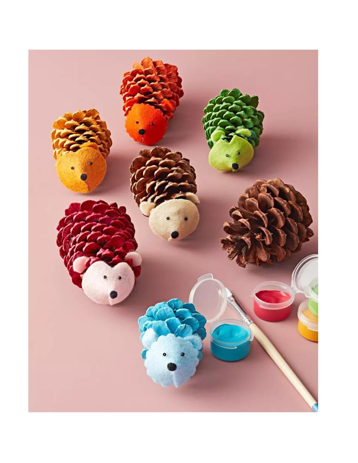 Hedgehog Take and Make