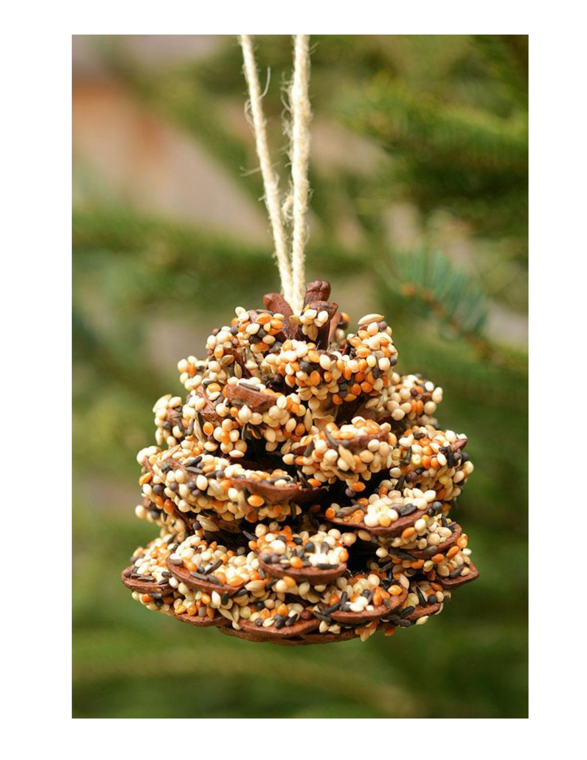 Pine Cone Birdfeeder