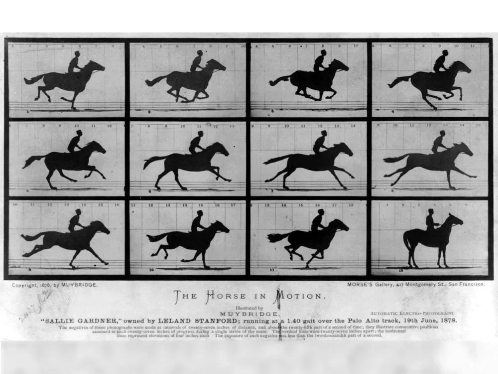 Horse-in-motion