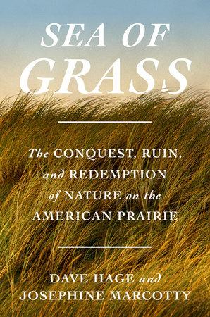 Sea of grass book cover
