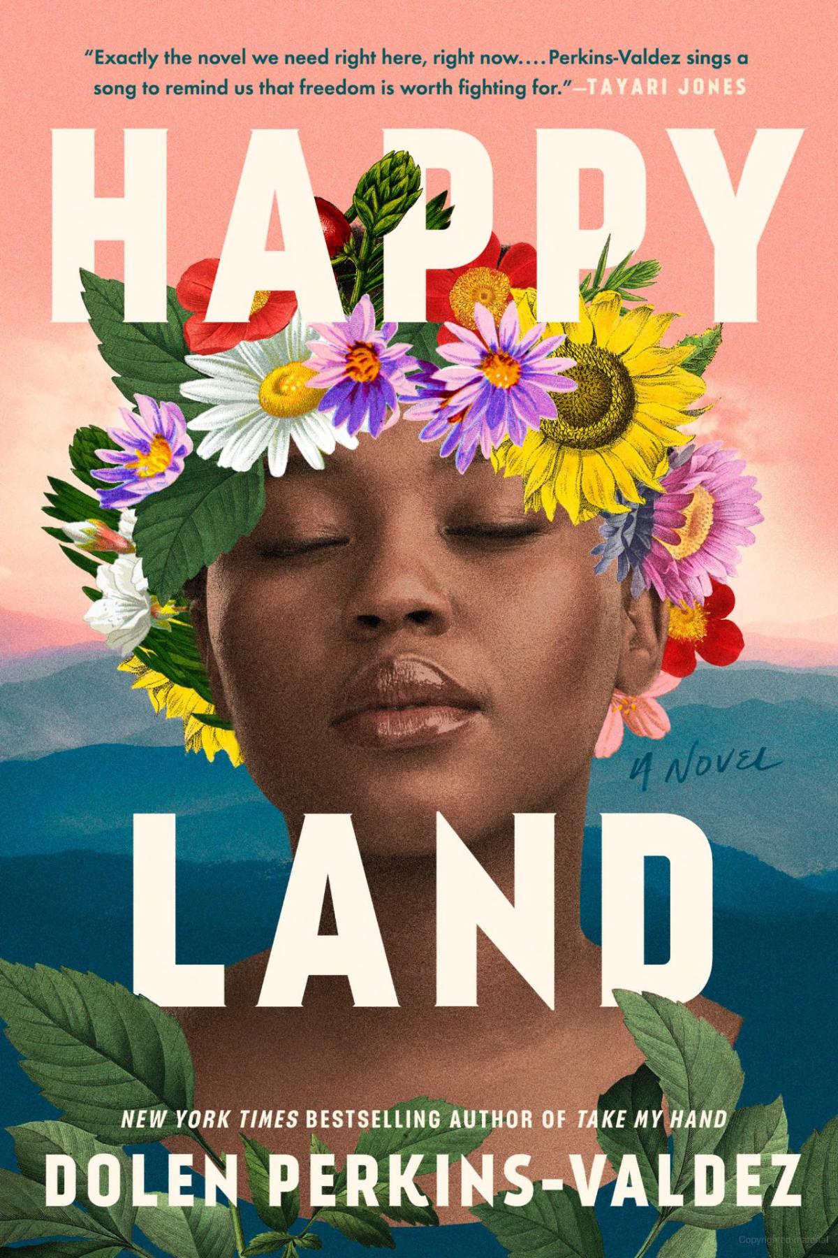 Happy Land Book Cover